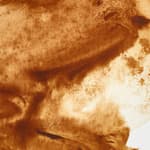 Raw Umber